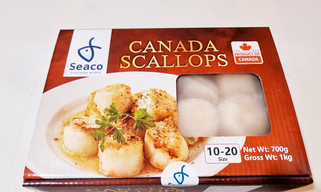 Canadian Scallops