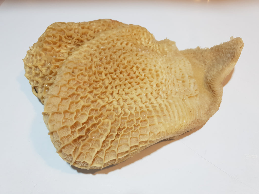 Beef Honeycomb Tripe( Aus) 澳洲蜂窝肚